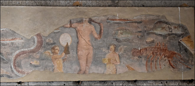 Fresque de Vénus anadomène des thermes des 7 sages à Ostia Antica Fresque de Vénus anadomène à Ostia Antica
